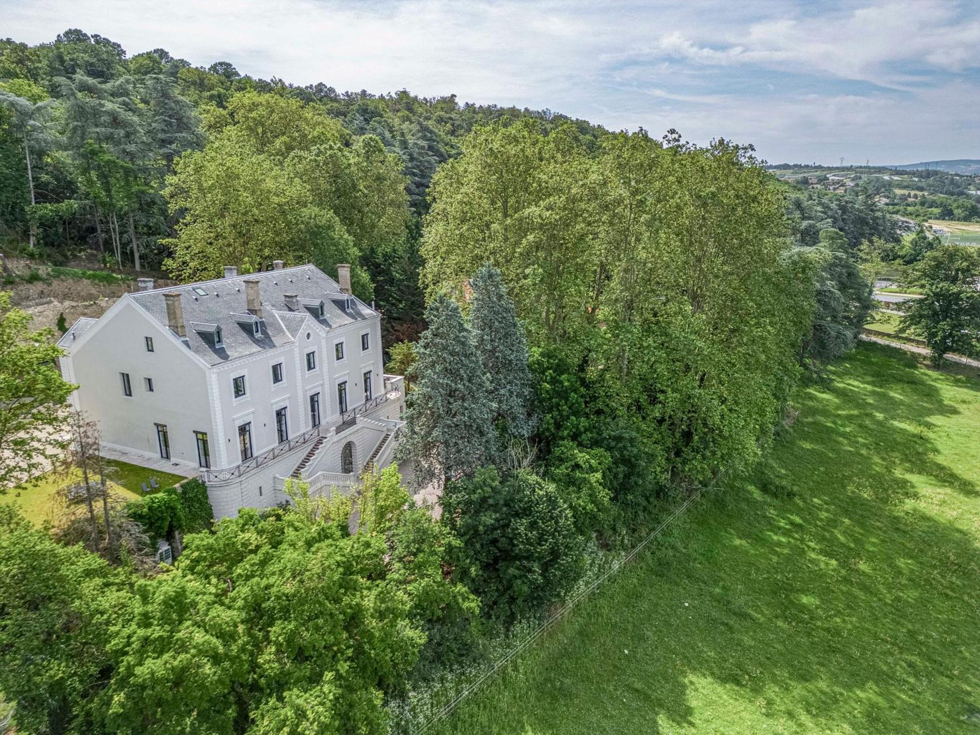 1 - Grand Appartement Spacieux Dans Un Chateau Du 17Eme Siecle, A 15Min De Lyon Vourles المظهر الخارجي الصورة